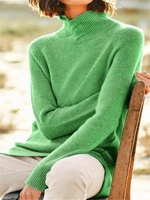 Women Solid Long Sleeve Knit Turtleneck Sweater